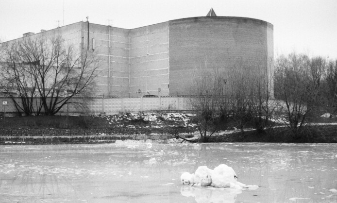 Выставка "Очевидное" Выставка "Очевидное"