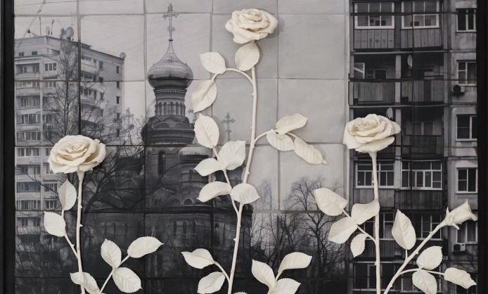 Анна Бёрч. Сажа бела Анна Бёрч. Сажа бела