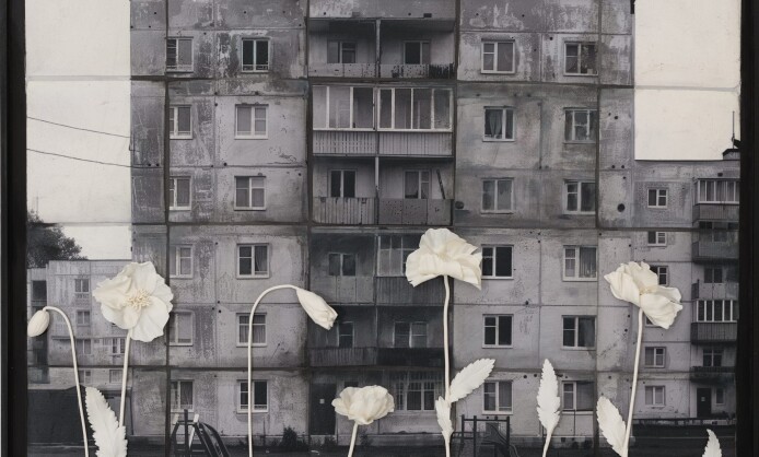 Анна Бёрч. Сажа бела Анна Бёрч. Сажа бела