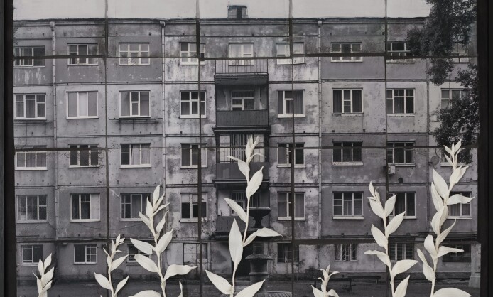 Анна Бёрч. Сажа бела Анна Бёрч. Сажа бела