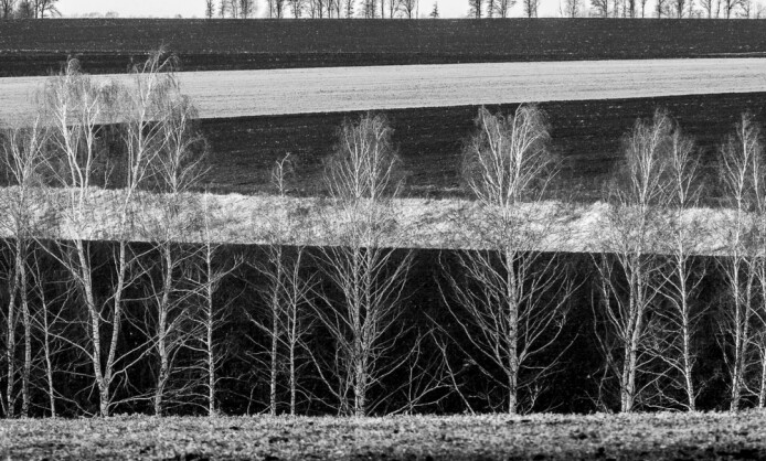 Выставка Евгения Степанова "Близкие пейзажи" Выставка Евгения Степанова "Близкие пейзажи"