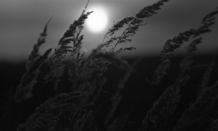 Фотовыставка Виталия Собровина «Мгновение вечности» к 90-летию со Дня рождения Фотовыставка Виталия Собровина «Мгновение вечности» к 90-летию со Дня рождения