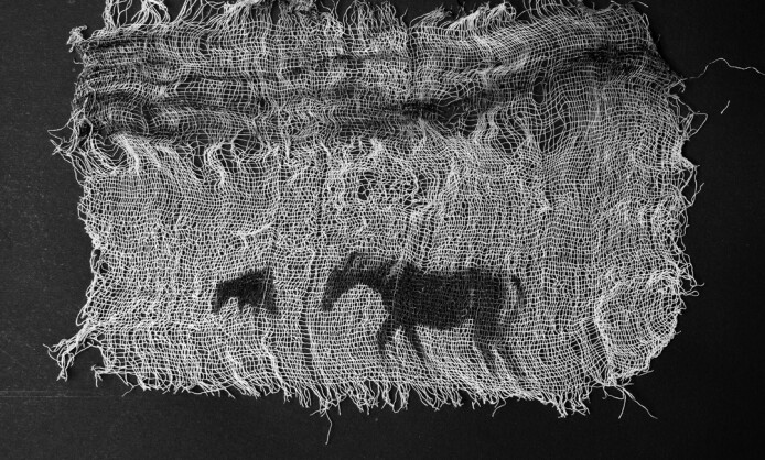 "Письма зимнему солнцу" в Краснодаре "Письма зимнему солнцу" в Краснодаре