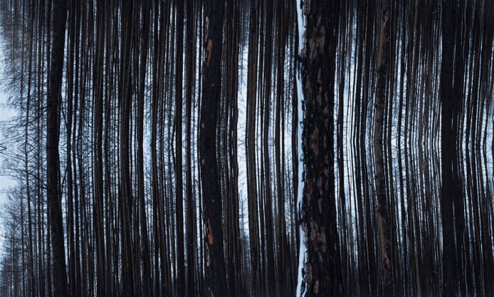 "Письма зимнему солнцу" в Краснодаре "Письма зимнему солнцу" в Краснодаре