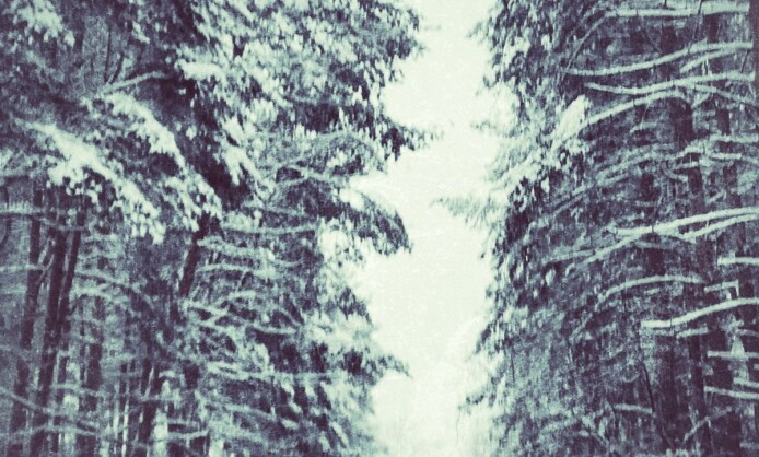 "Письма зимнему солнцу" в Краснодаре "Письма зимнему солнцу" в Краснодаре