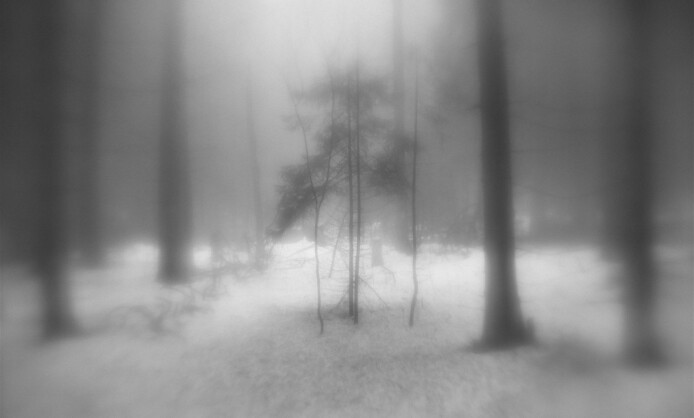 "Письма зимнему солнцу" в Краснодаре "Письма зимнему солнцу" в Краснодаре