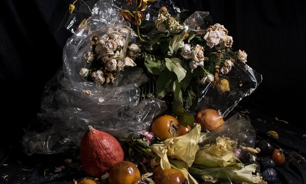 Проект Юлии Воробьевой «Изобилие» Проект Юлии Воробьевой «Изобилие»