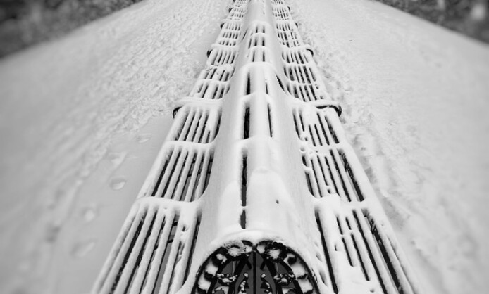 Выставка «Монохромная жизнь» Выставка «Монохромная жизнь»