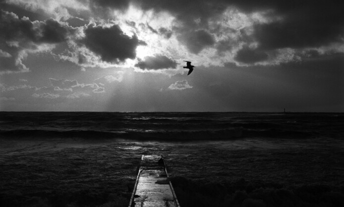 "Берег откровений" в Краснодарском краевом художественном музее "Берег откровений" в Краснодарском краевом художественном музее