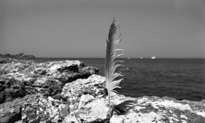 "Берег откровений" в Краснодарском краевом художественном музее "Берег откровений" в Краснодарском краевом художественном музее