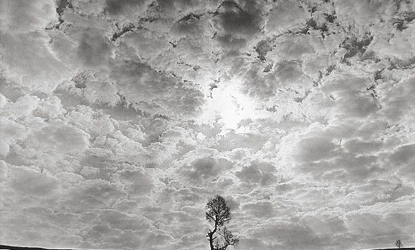 Выставка «Солнцеворот». Галина Лукьянова Выставка «Солнцеворот». Галина Лукьянова