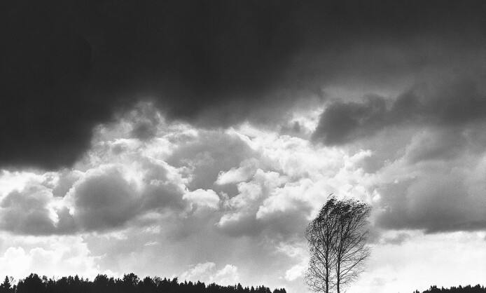 Выставка «Солнцеворот». Галина Лукьянова Выставка «Солнцеворот». Галина Лукьянова