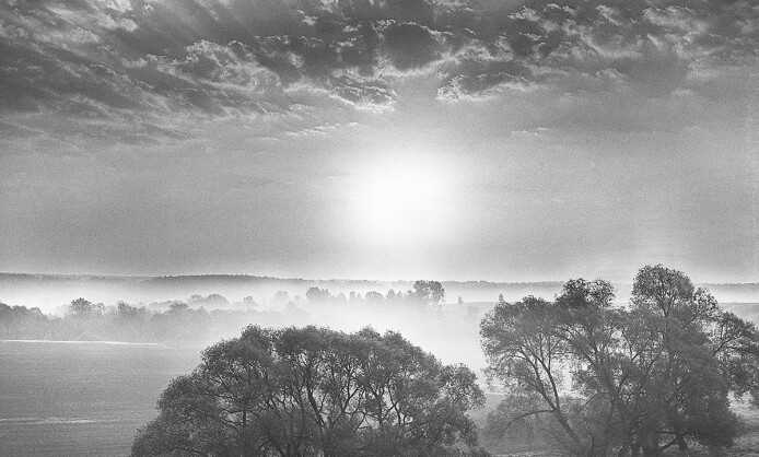 Выставка «Солнцеворот». Галина Лукьянова Выставка «Солнцеворот». Галина Лукьянова