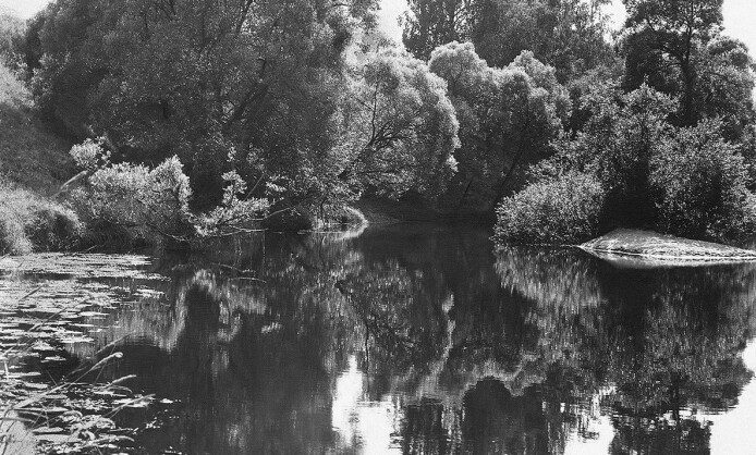Выставка «Солнцеворот». Галина Лукьянова Выставка «Солнцеворот». Галина Лукьянова