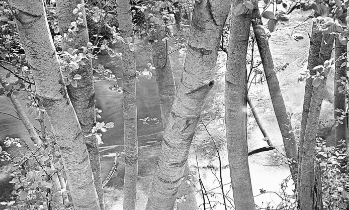 Выставка «Солнцеворот». Галина Лукьянова Выставка «Солнцеворот». Галина Лукьянова