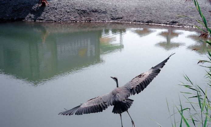 "Берег откровений" в Краснодаре "Берег откровений" в Краснодаре