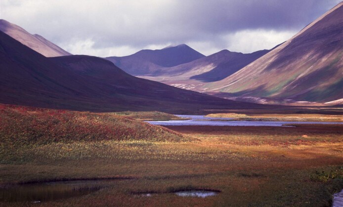 ВАДИМ ГИППЕНРЕЙТЕР «ОТ ТИШИНЫ ДО ВЗРЫВА» ВАДИМ ГИППЕНРЕЙТЕР «ОТ ТИШИНЫ ДО ВЗРЫВА»