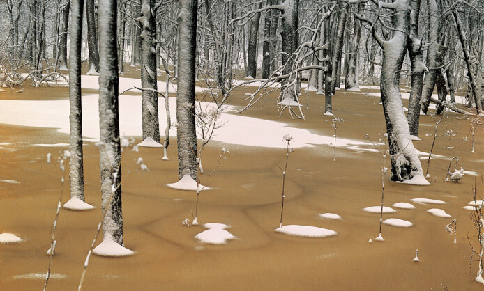 ВАДИМ ГИППЕНРЕЙТЕР «ОТ ТИШИНЫ ДО ВЗРЫВА» ВАДИМ ГИППЕНРЕЙТЕР «ОТ ТИШИНЫ ДО ВЗРЫВА»