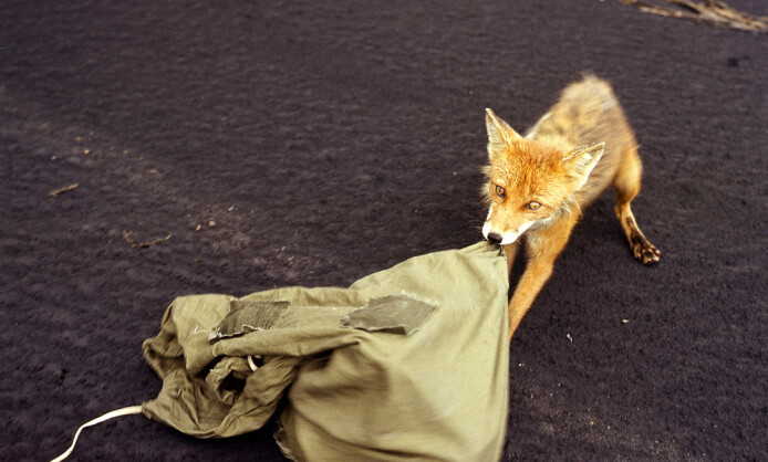 ВАДИМ ГИППЕНРЕЙТЕР «ОТ ТИШИНЫ ДО ВЗРЫВА» ВАДИМ ГИППЕНРЕЙТЕР «ОТ ТИШИНЫ ДО ВЗРЫВА»