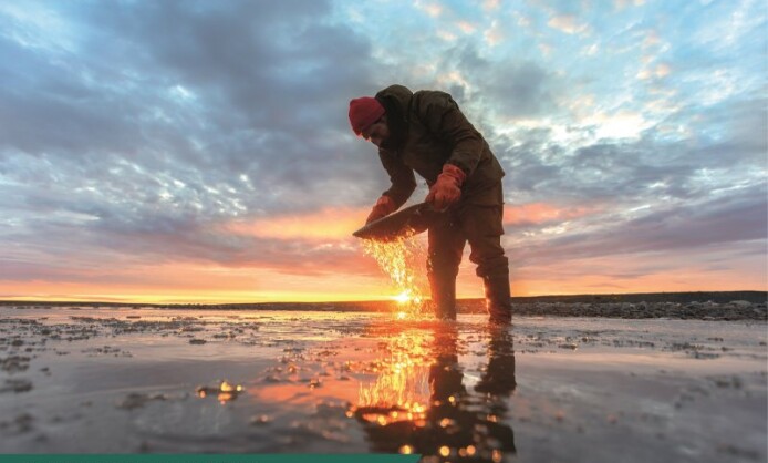Геология. Искусство видеть Геология. Искусство видеть