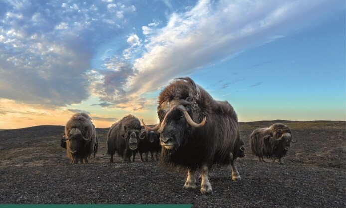 Геология. Искусство видеть Геология. Искусство видеть