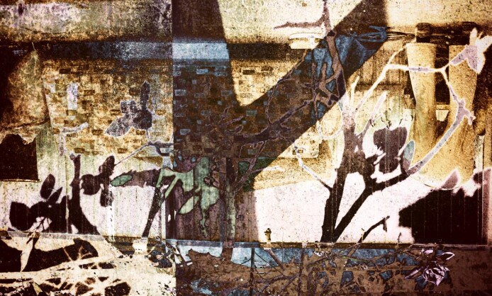 "Метаморфозы" Дмитрия Сеника и Виктории Забродиной "Метаморфозы" Дмитрия Сеника и Виктории Забродиной