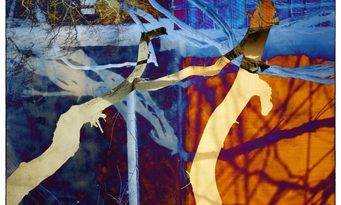 "Метаморфозы" Дмитрия Сеника и Виктории Забродиной "Метаморфозы" Дмитрия Сеника и Виктории Забродиной