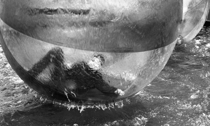 "Берег откровений" в Краснодаре "Берег откровений" в Краснодаре