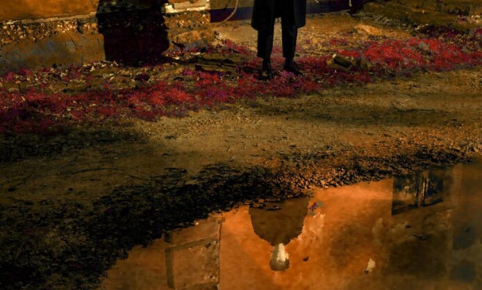 "Метаморфозы" Дмитрия Сеника и Виктории Забродиной "Метаморфозы" Дмитрия Сеника и Виктории Забродиной