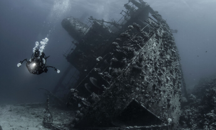 Выставка природных фотографов NATURE PHOTO TEAM Выставка природных фотографов NATURE PHOTO TEAM