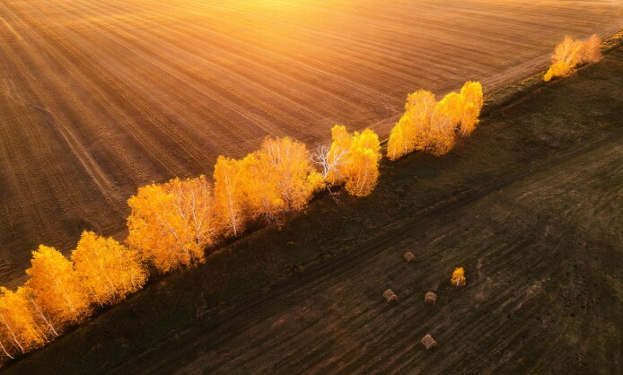 Выставка природных фотографов NATURE PHOTO TEAM Выставка природных фотографов NATURE PHOTO TEAM
