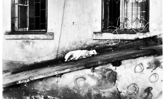 Фотовыставка «Чувство города» Фотовыставка «Чувство города»