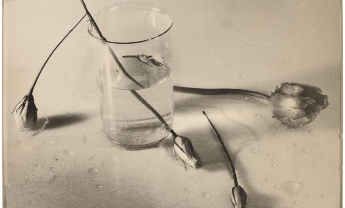 «НЕСГОРЕВШИЕ СНЫ. Фотографии Сергея Свешникова» «НЕСГОРЕВШИЕ СНЫ. Фотографии Сергея Свешникова»