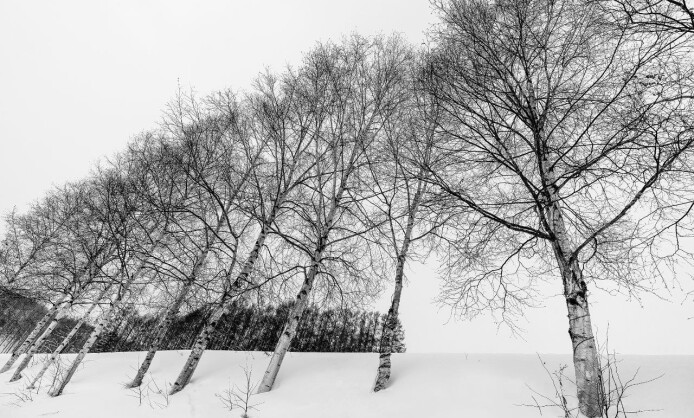 Сью Пак «Поэзия пустынных пространств» Сью Пак «Поэзия пустынных пространств»