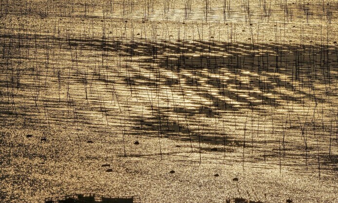 Сью Пак «Поэзия пустынных пространств» Сью Пак «Поэзия пустынных пространств»