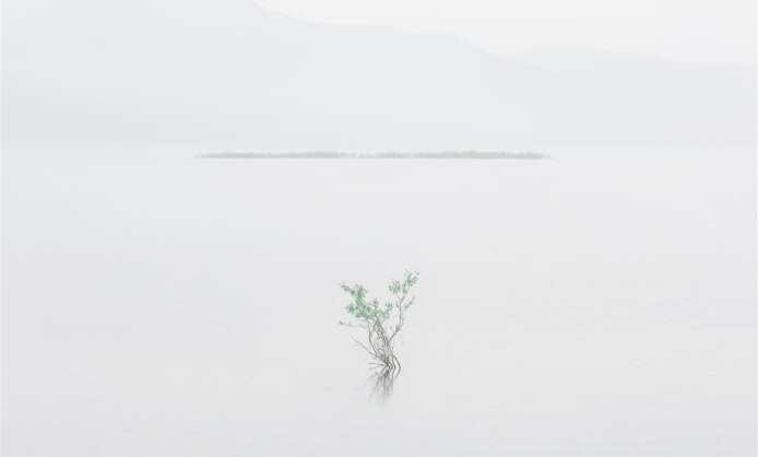 Выставка "Зеркало" в Краснодаре Выставка "Зеркало" в Краснодаре