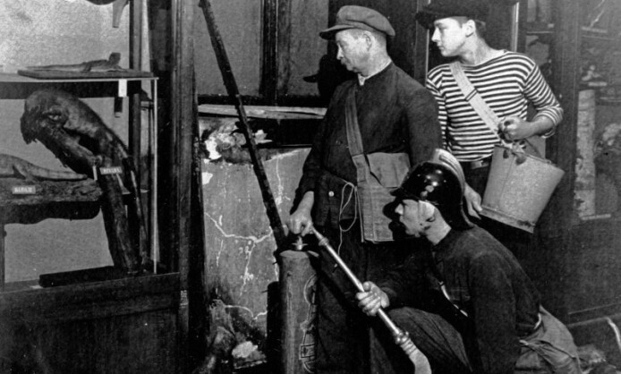 «Дарвиновский музей в годы Великой Отечественной войны» «Дарвиновский музей в годы Великой Отечественной войны»