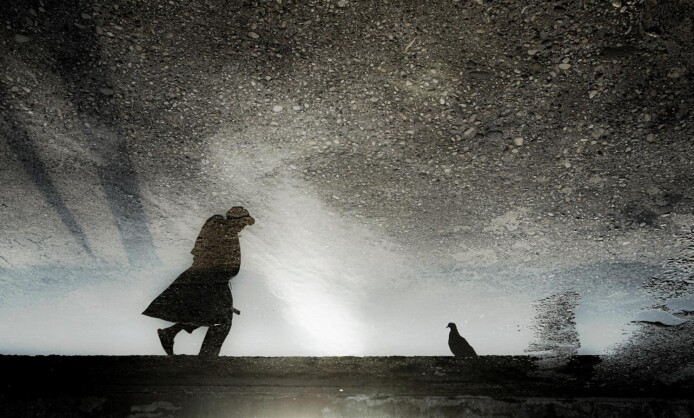 Выставка "Зеркало" в Краснодаре Выставка "Зеркало" в Краснодаре