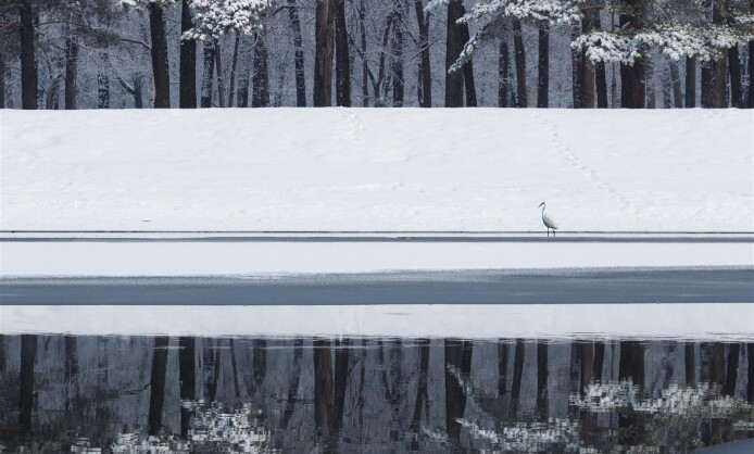 Выставка "Зеркало" в Краснодаре Выставка "Зеркало" в Краснодаре