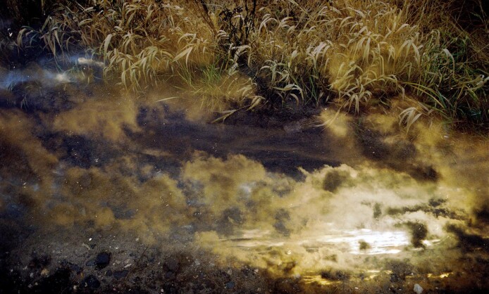 Выставка "Зеркало" в Краснодаре Выставка "Зеркало" в Краснодаре