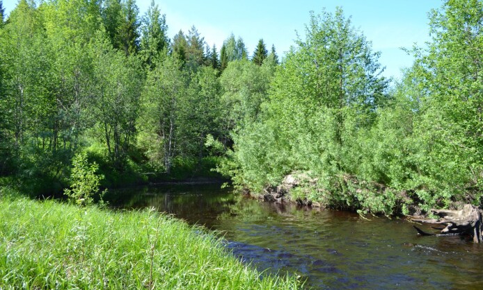 «Остановись мгновение, ты прекрасно!» «Остановись мгновение, ты прекрасно!»