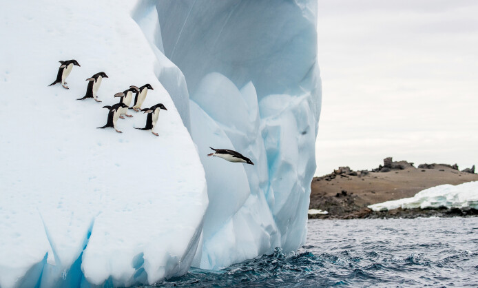Фотовыставка Юрия Тайдакова «НА ПОЛЮСАХ ЗЕМНОГО ШАРА» Фотовыставка Юрия Тайдакова «НА ПОЛЮСАХ ЗЕМНОГО ШАРА»