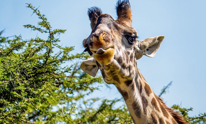 Фотовыставка Юрия Тайдакова «НА ПОЛЮСАХ ЗЕМНОГО ШАРА» Фотовыставка Юрия Тайдакова «НА ПОЛЮСАХ ЗЕМНОГО ШАРА»