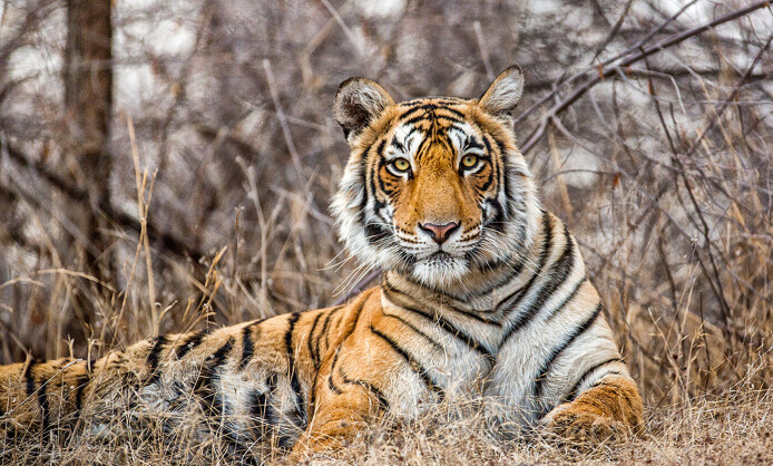 Фотовыставка Юрия Тайдакова «НА ПОЛЮСАХ ЗЕМНОГО ШАРА» Фотовыставка Юрия Тайдакова «НА ПОЛЮСАХ ЗЕМНОГО ШАРА»