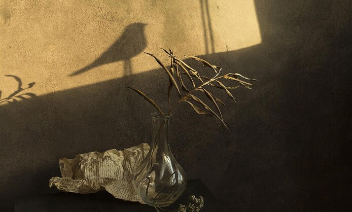 "35 лет Союзу фотохудожников России" в Новороссийском музее "35 лет Союзу фотохудожников России" в Новороссийском музее