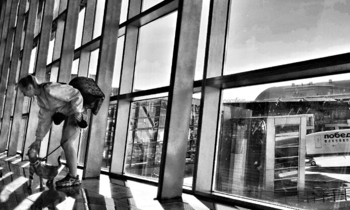 Выставка «Отражение» Выставка «Отражение»