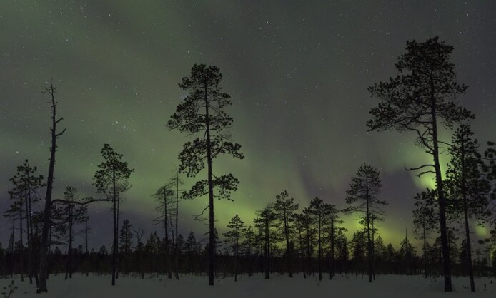 Заповедная крыша - фотовыставка заповедных уголков России на крыше музея Заповедная крыша - фотовыставка заповедных уголков России на крыше музея