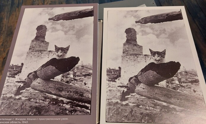 Выставочный фотопроект «Объектив Победы». Выставочный фотопроект «Объектив Победы».