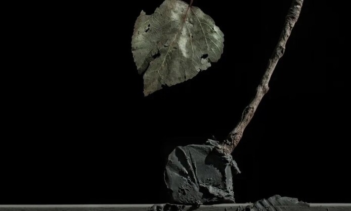 Выставка Алисы Лю «О наивной хрупкости» Выставка Алисы Лю «О наивной хрупкости»