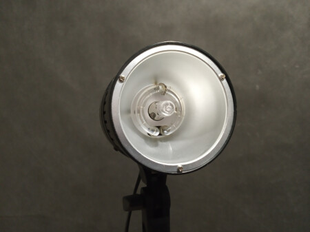 Две студийные вспышки Raylab RP-160